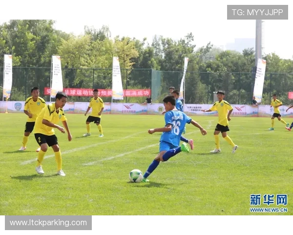 绿茵逐梦新时代中国足球全面振兴与未来发展之路 绿茵逐梦新时代中国足球全面振兴与未来发展之路