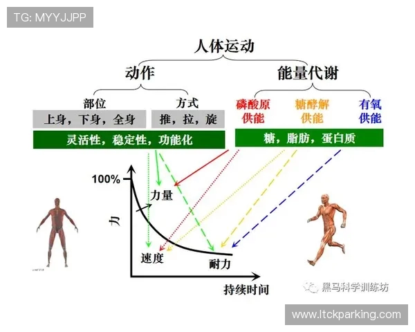 提升体能与竞技水平的综合运动训练方法与策略探讨 提升体能与竞技水平的综合运动训练方法与策略探讨