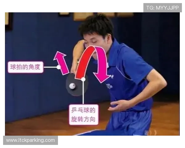 乒乓球技巧全面解析：从基础训练到高级战术的全面提升攻略