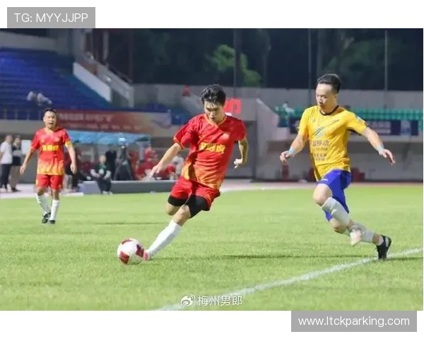 绿茵争锋激情燃烧展现团队荣耀与胜利追逐的足球盛宴