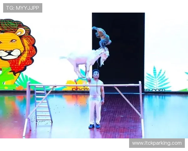 从惊心动魄到优雅入水全面探秘跳水运动的力量与艺术之美