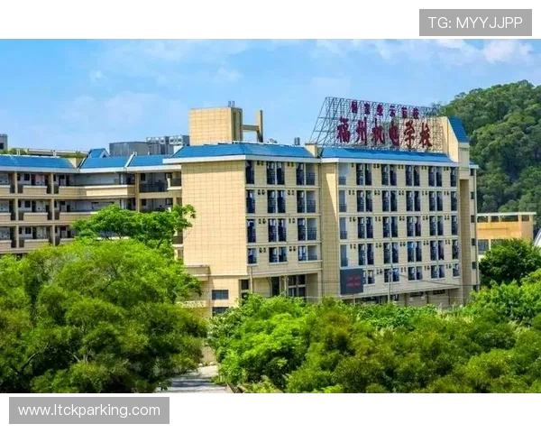 娄底足球队崛起之路：从地方小队到职业联赛的奋斗历程与未来展望