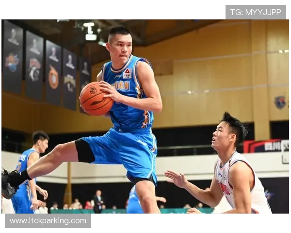 福建浔兴股份强势对阵全面分析揭示球队潜力与未来发展方向