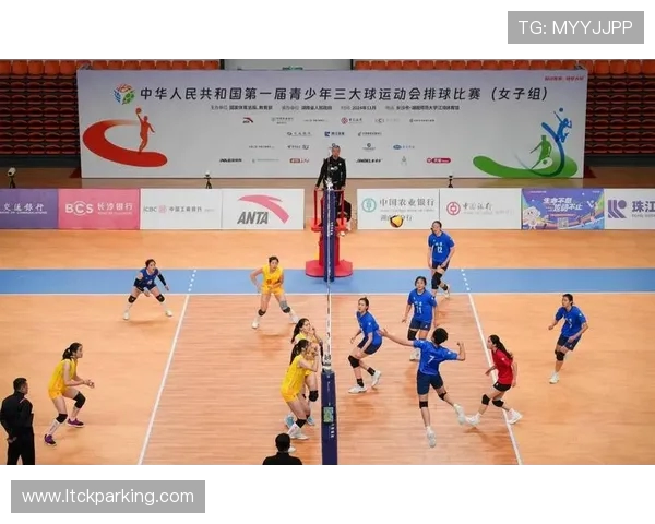 杭州排球队的拼搏历程与成长故事全景纪实