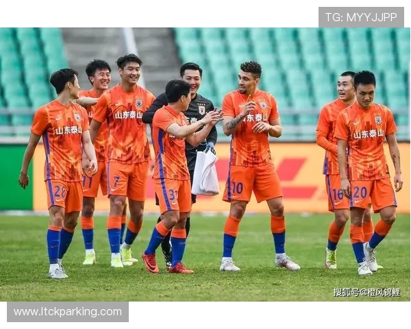 深圳排球队与上海排球队速度对决的深度分析与赛后总结