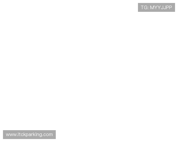 深圳飞盘队的奋斗历程与成长故事全景纪实