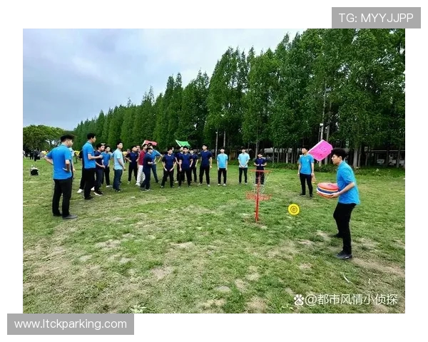 重庆飞盘队的配合变革引发热议探索团队协作的新模式与挑战