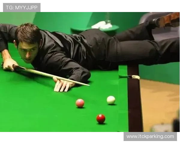 Bin上单领衔英雄榜解析 战术演变与技巧提升的全面剖析