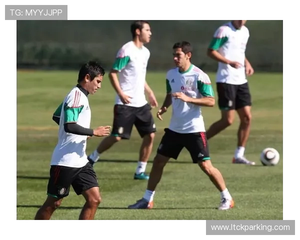 南非与墨西哥精彩对决赛况分析及数据统计报告