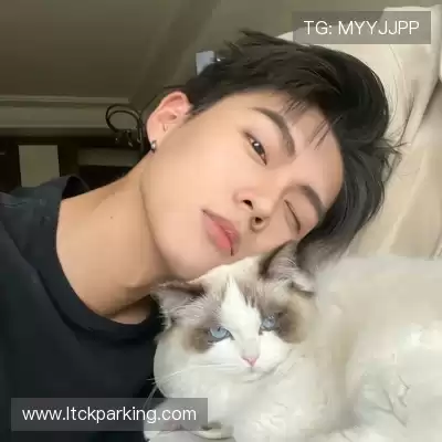 韶诚洁