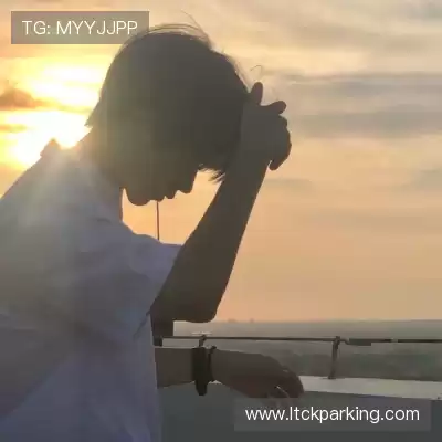 魏维戈